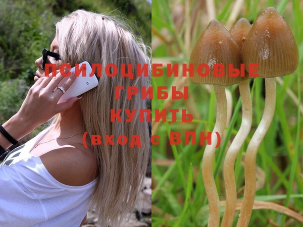 бошки Касимов