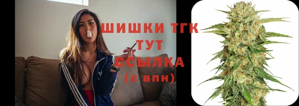молекула духа Киреевск