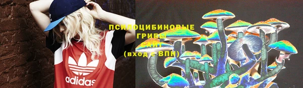 ешки Карпинск