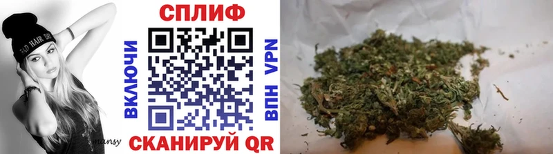 купить наркоту  Полярные Зори  Бошки марихуана конопля 